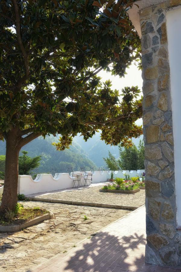 Villa Inn Costa Tramonti Zewnętrze zdjęcie