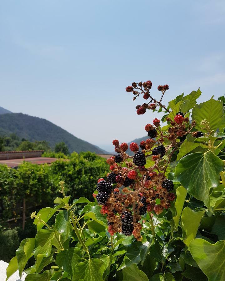 Villa Inn Costa Tramonti Zewnętrze zdjęcie